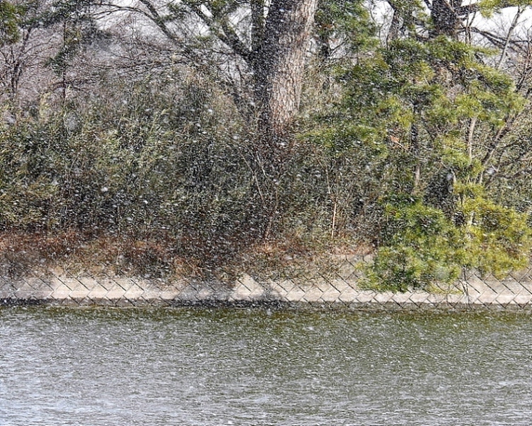 c0305565_17503725.jpg