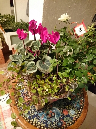 f0201565_21393241.jpg