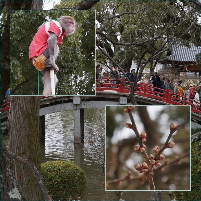 四王寺山登山と大宰府天満宮参拝。_f0016066_21314084.jpg