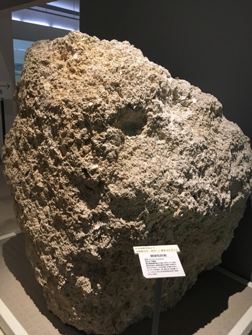 e0227680_14263568.jpg
