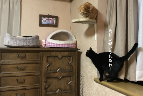 a0216583_00225978.png