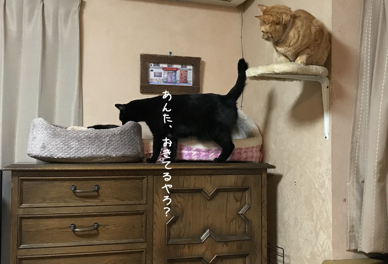 a0216583_00230424.png