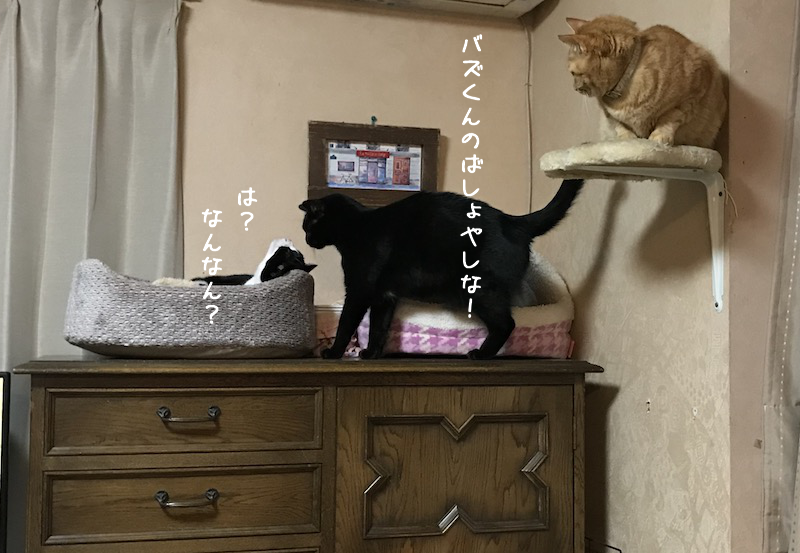 a0216583_00231066.png