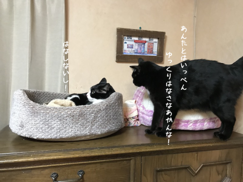 a0216583_00231942.png
