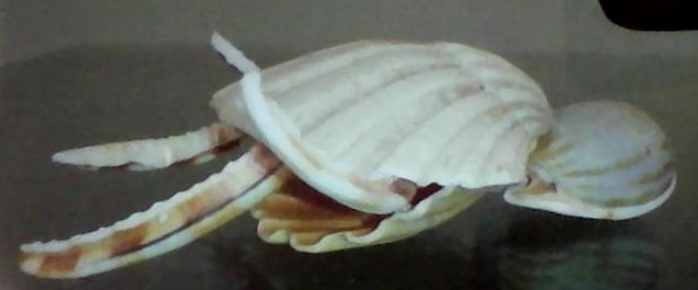 ブラックテリナ 円盤生物 オリジナルの怪獣怪人