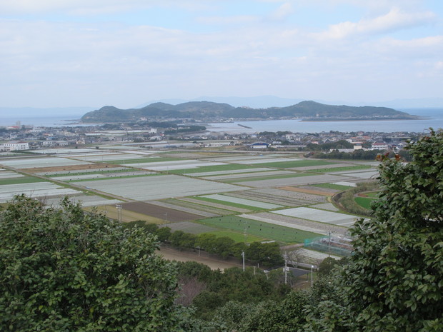 a0166196_1805623.jpg