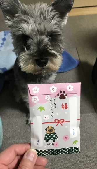 b0188998_13150233.jpeg