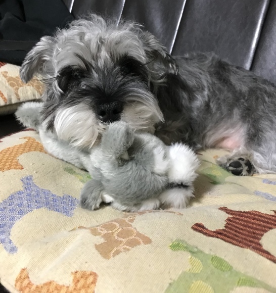b0188998_13163045.jpeg