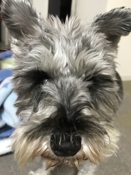 b0188998_13171304.jpeg