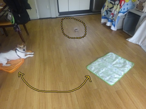 a0338800_18594075.jpg
