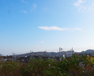 c0039501_17194970.jpg