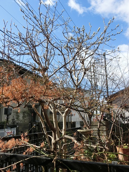e0234004_19284490.jpg