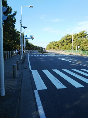 b0040606_20374054.jpg