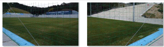f0231709_00160210.gif