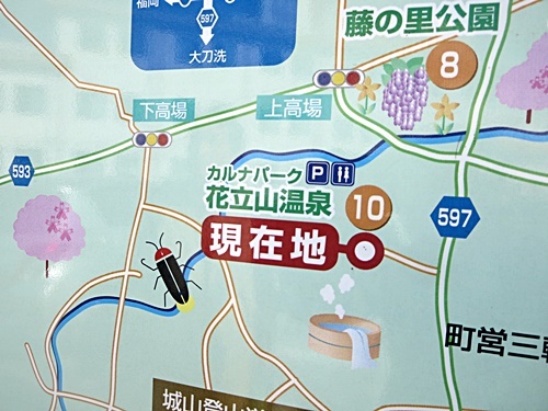 f0060310_14270998.jpg