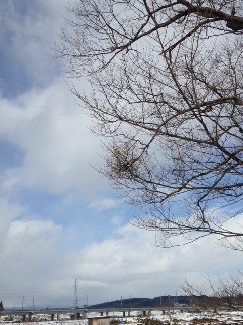 c0279611_16445861.jpg