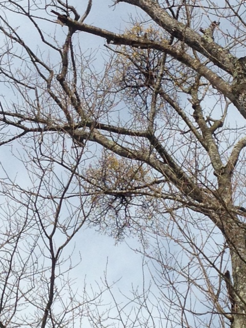 c0279611_17431960.jpg