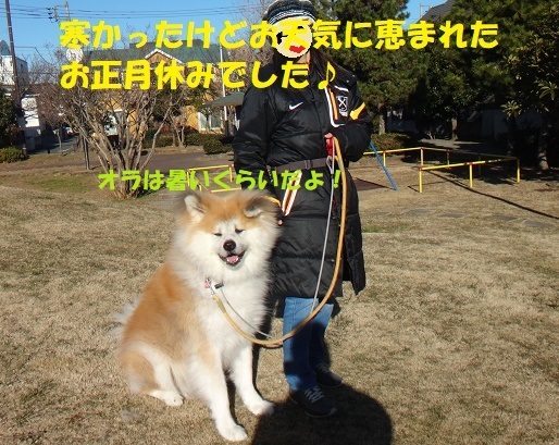 f0121712_08473350.jpg