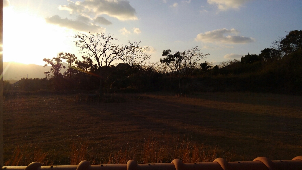 b0160614_21165864.jpg