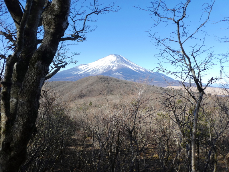 富士山展望最高の山に登る　三ﾂ峠山 (1,785.2M) ・ 三国山 (1,328M)_d0170615_11252012.jpg