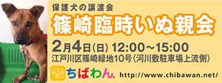 1/16引き出し編・レポート紹介　全　５９頭_f0078320_12352734.jpg