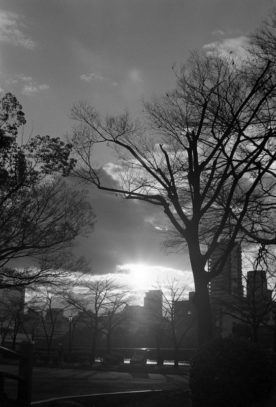 c0176622_16315631.jpg