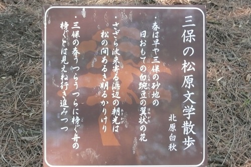 e0033229_19422678.jpg
