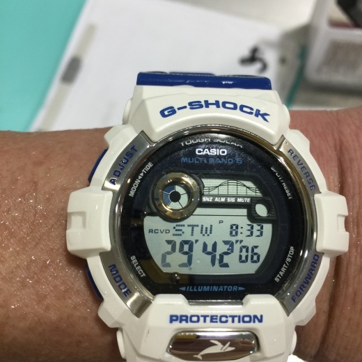 泳ぎ初めの理由_f0076731_23213947.jpeg