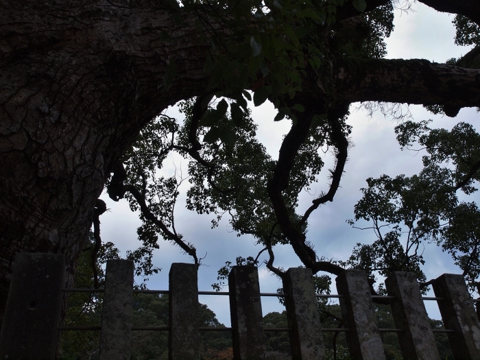 c0281841_12514425.jpg