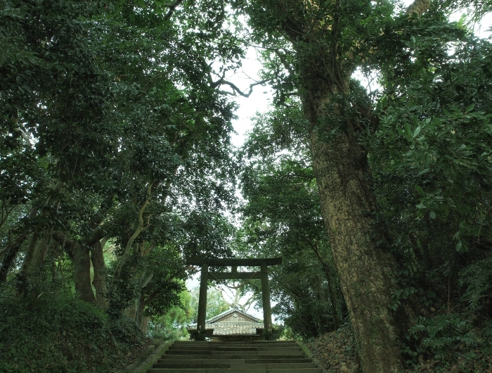 c0281841_12521463.jpg