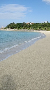 c0225143_14480490.jpg