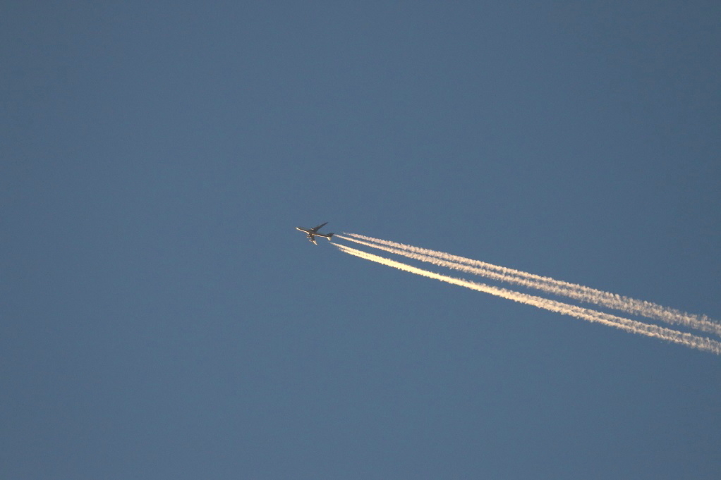 e0128144_05241648.jpg