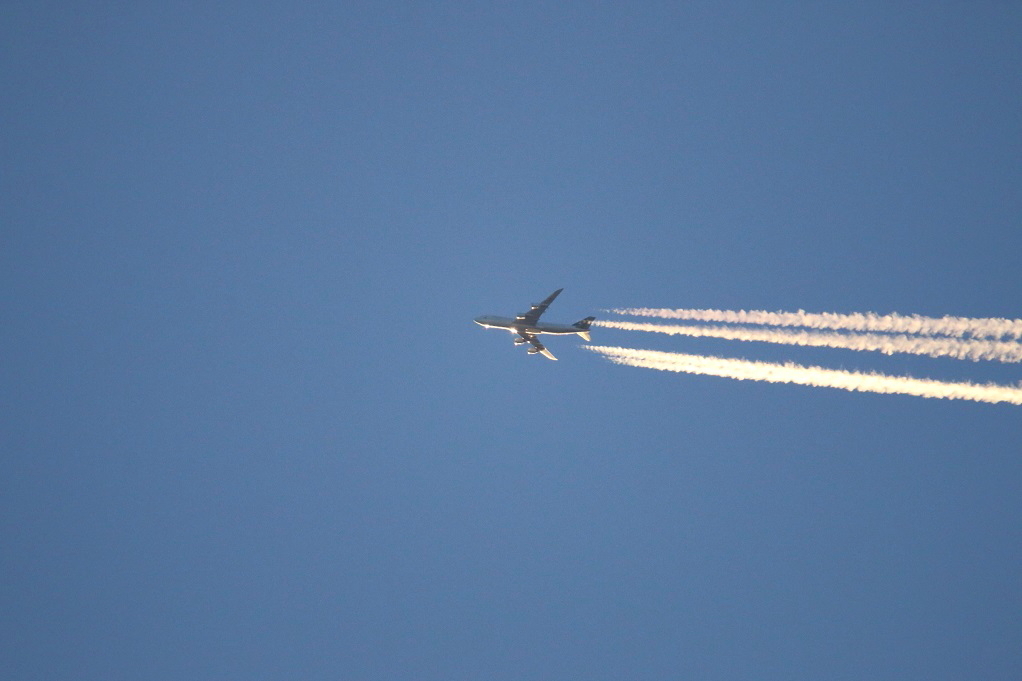 e0128144_05242051.jpg