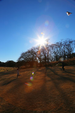 新年のご挨拶と、今後10年のこと_a0311747_15294810.jpg