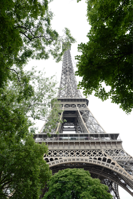 d0088348_16421344.jpg