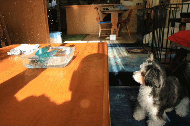 c0145250_15391400.gif