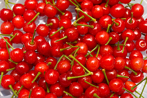 d0113159_08035728.jpg