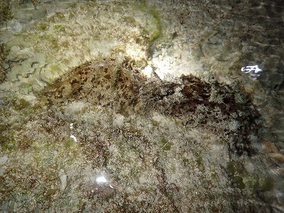 c0180460_00001567.jpg