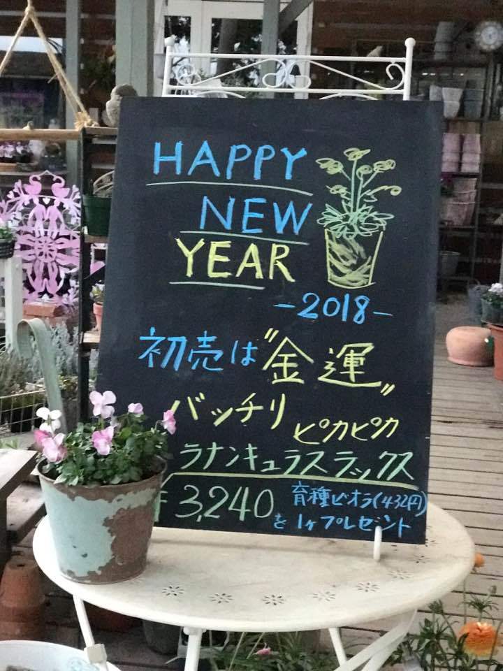 5日初商い 初荷はピッカピッカの綾園芸ラナンキュラスラックス 宮崎の花屋 アナーセン 5日初商い 初荷はピッカピッカの綾園芸ラナンキュラスラックス 宮崎の花屋 アナーセン