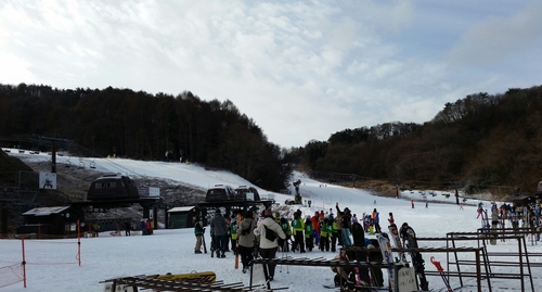 a0038976_9552685.jpg