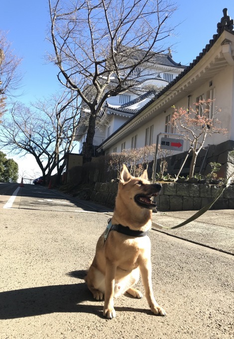 c0364176_16102509.jpeg