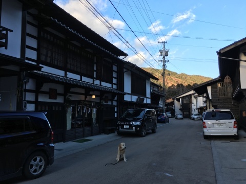 f0052277_00243388.jpg