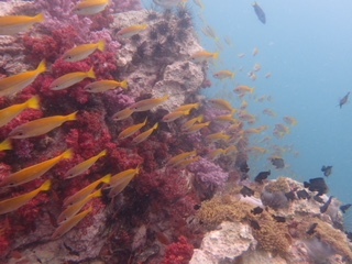 f0144385_20481456.jpg