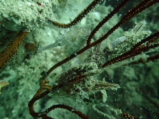 f0144385_20495207.jpg