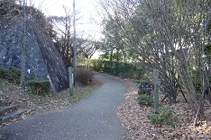 多摩の古道（１）武相観音巡礼道（改定）_d0183387_15273949.jpg