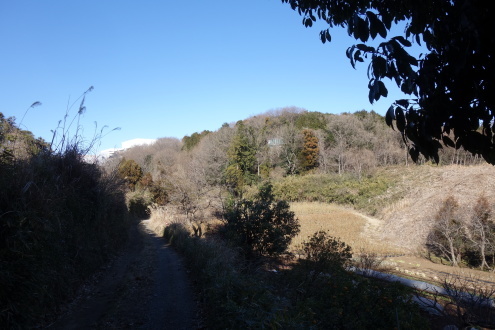 多摩の古道（１）武相観音巡礼道（改定）_d0183387_18105838.jpg