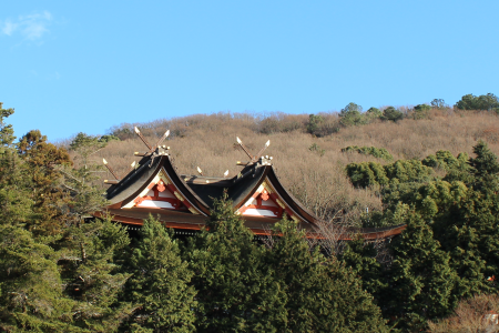 b0223592_12322604.png