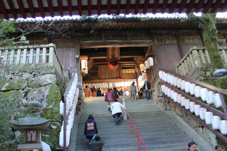 b0223592_12332048.png