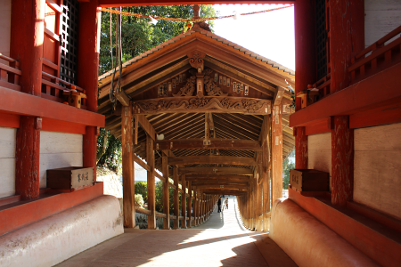 b0223592_12334809.png