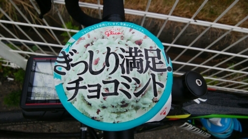 a0348193_23144067.jpg